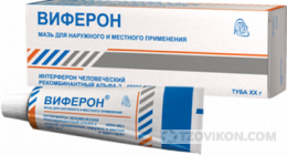 
                            Виферон мазь
                         - отзывы