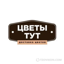 Доставка цветов Цветы Тут
- отзывы