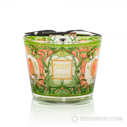 
                            Baobab Collection Tomorrowland свеча Max 10 500г
                         - отзывы